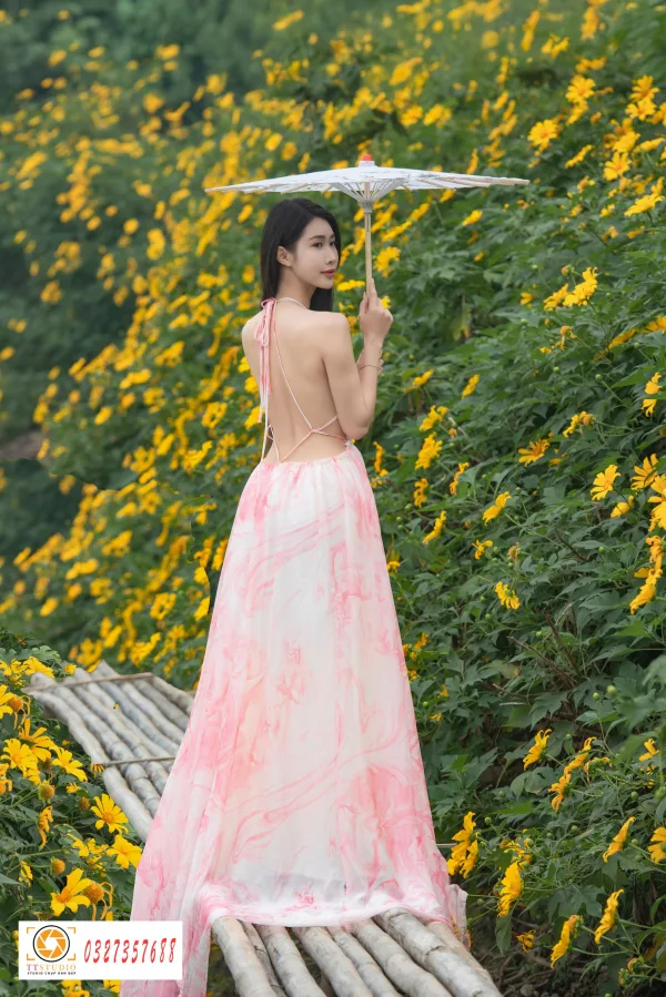 hoa dã quỳ đẹp