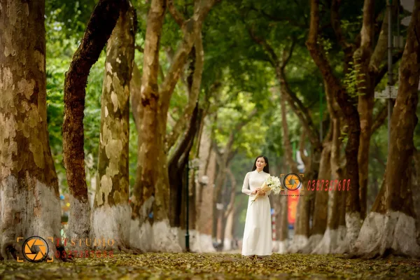 Phan Đình Phùng mùa lá rụng
