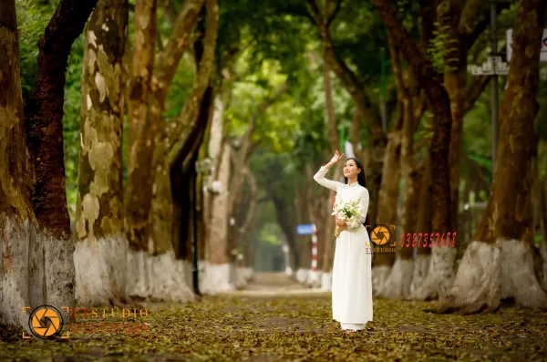 Phan Đình Phùng mùa lá rụng