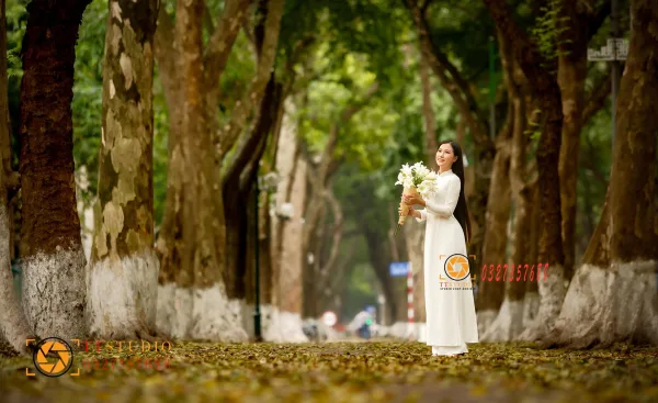 Phan Đình Phùng mùa lá rụng