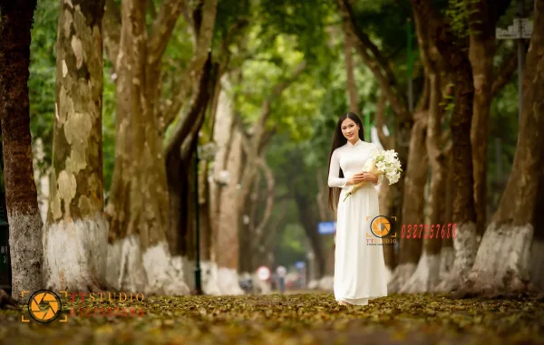 Phan Đình Phùng mùa lá rụng