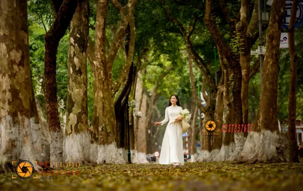 Phan Đình Phùng mùa lá rụng