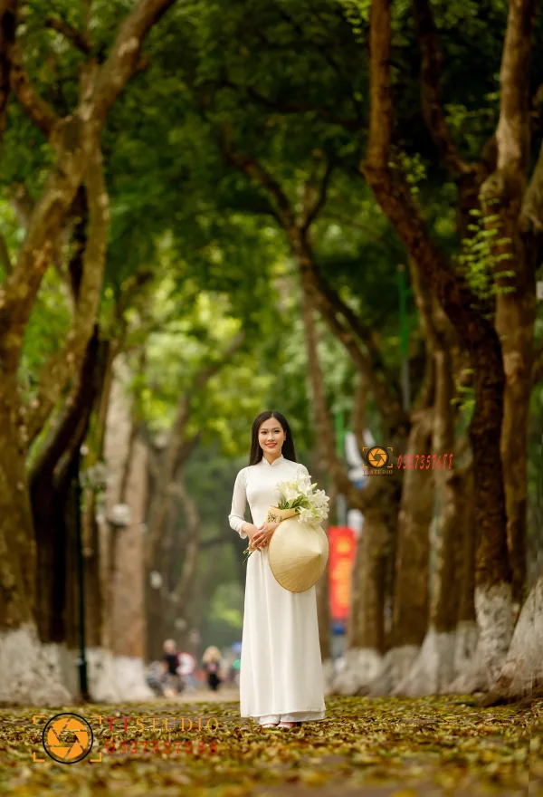 Phan Đình Phùng mùa lá rụng