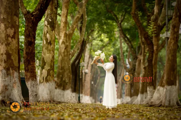 Phan Đình Phùng mùa lá rụng
