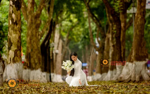 Phan Đình Phùng mùa lá rụng