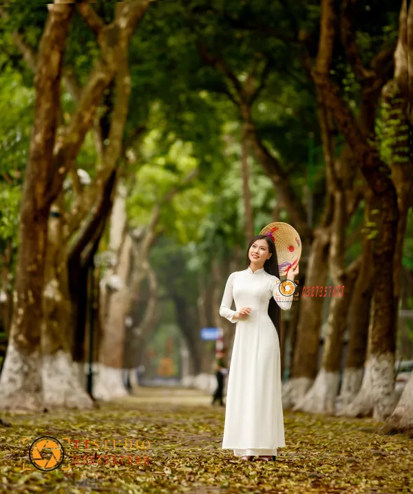 Phan Đình Phùng mùa lá rụng
