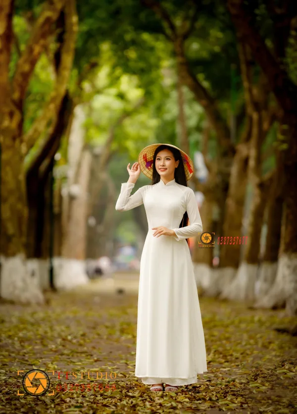 Phan Đình Phùng mùa lá rụng