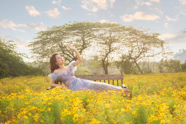 Hoa vàng thảo nguyên hoa