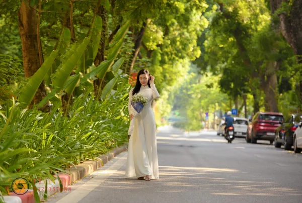 Xe hoa đường Hoàng Diệu