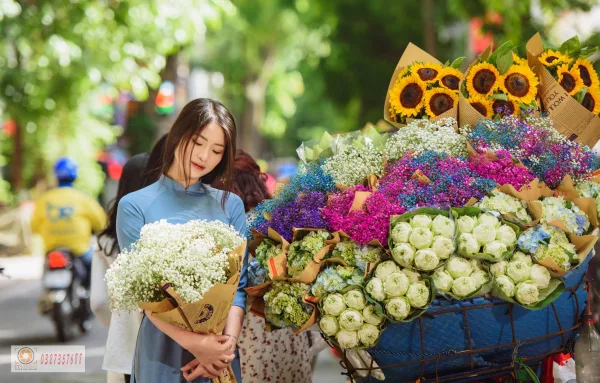 Xe hoa Hà Nội