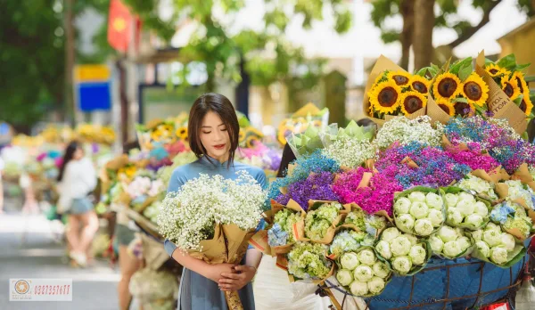 Xe hoa Hà Nội