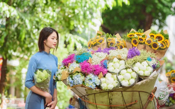 Xe hoa Hà Nội