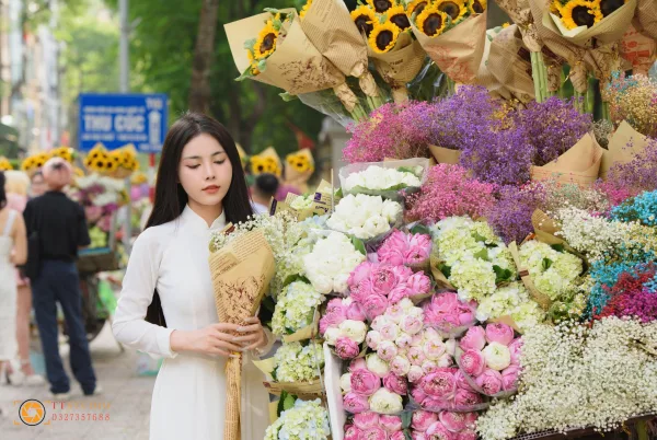 Xe hoa mùa thu Hà Nội