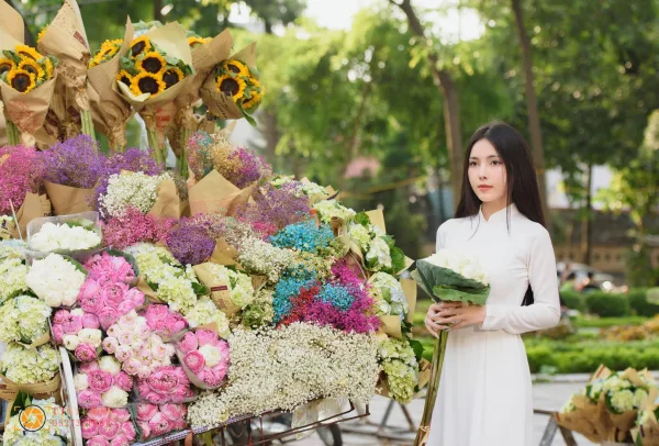 Xe hoa mùa thu Hà Nội