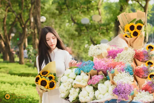 ảnh màu thu hà nội