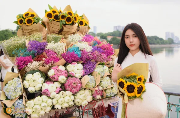 Xe hoa mùa thu Hà Nội